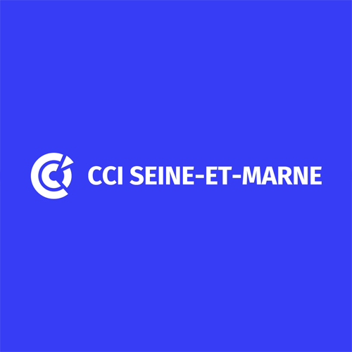 Logo CCI Seine-et-Marne – L’auto-entrepreneuriat en 2022 : moteur persistant du dynamisme des travailleurs indépendants